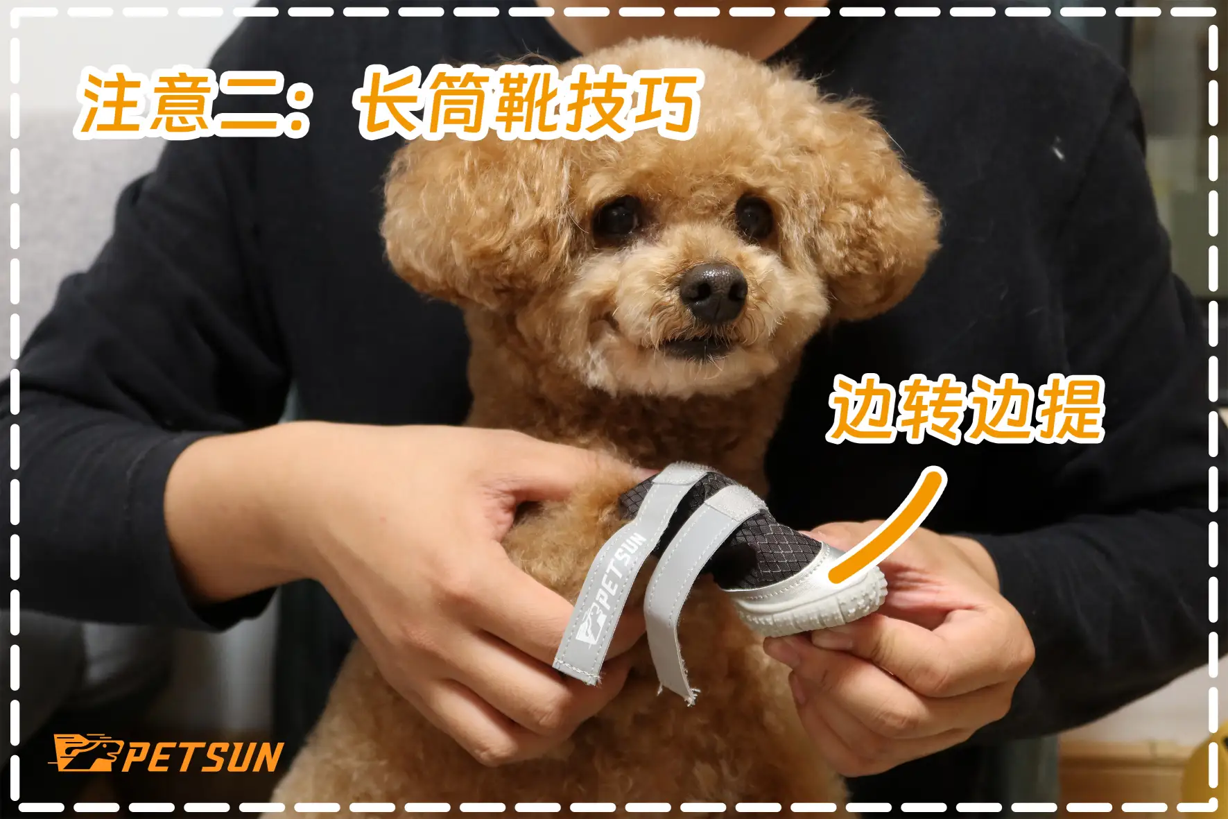 How to Wear Dog Shoes